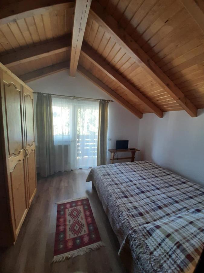 Casuta Pietrosul Rodnei Apartman Borsa  Kültér fotó