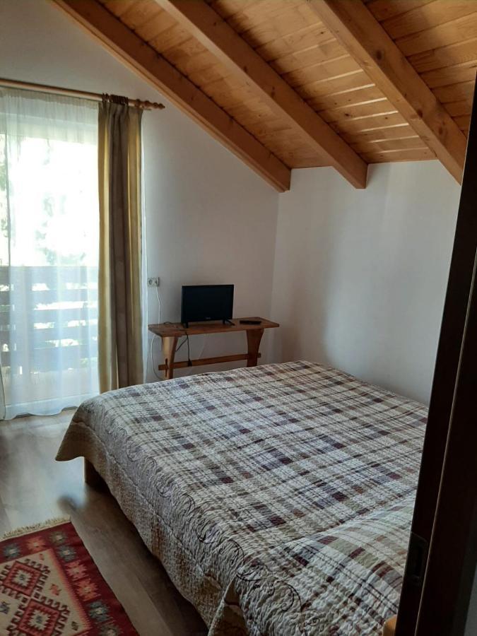 Casuta Pietrosul Rodnei Apartman Borsa  Kültér fotó