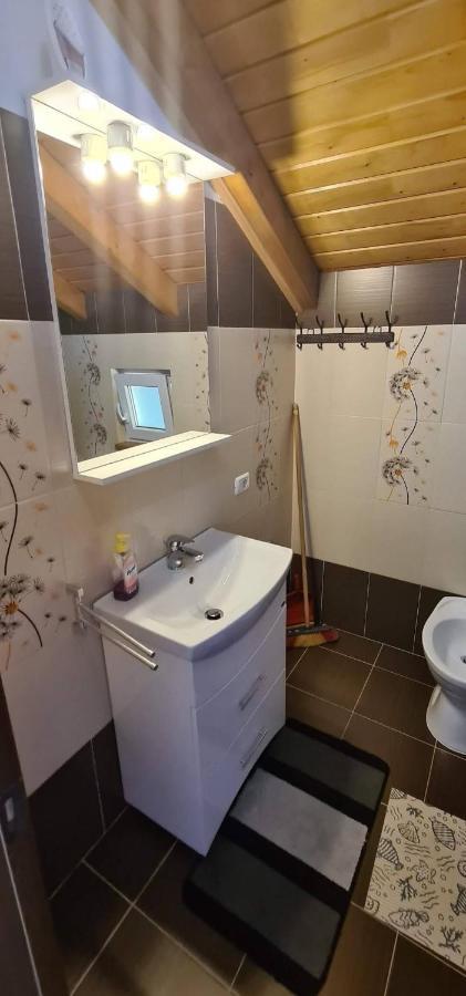Casuta Pietrosul Rodnei Apartman Borsa  Kültér fotó