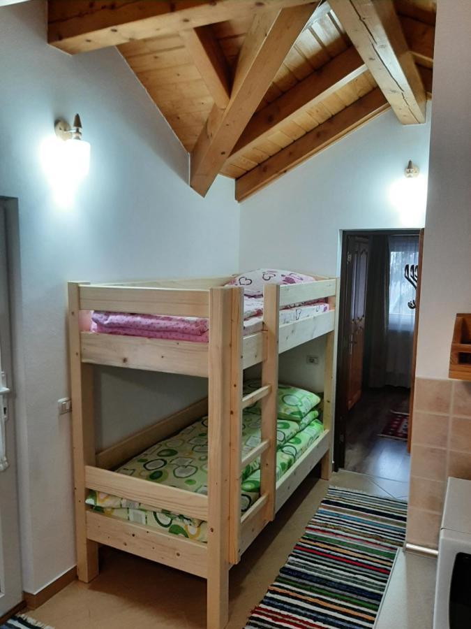 Casuta Pietrosul Rodnei Apartman Borsa  Kültér fotó